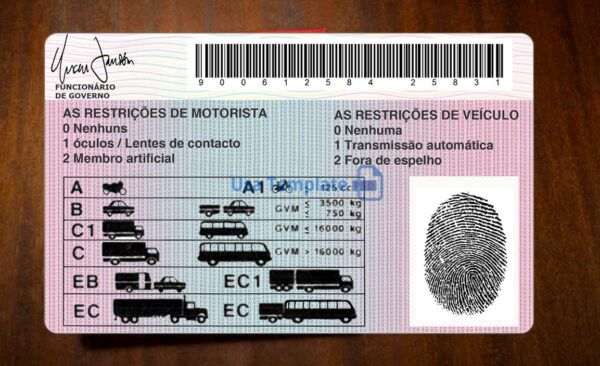 Angola Driving License Template PSD - Image 5