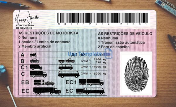 Angola Driving License Template PSD - Image 4