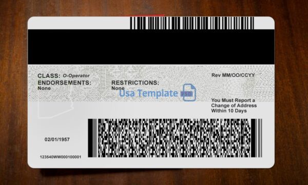 Arizona Driving License Template PSD - Image 5