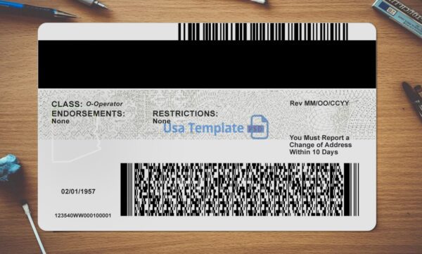 Arizona Driving License Template PSD - Image 4