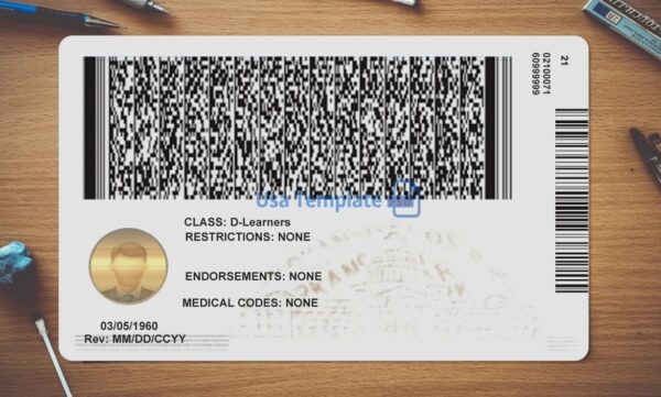 Arkansas Driving License Template PSD - Image 4