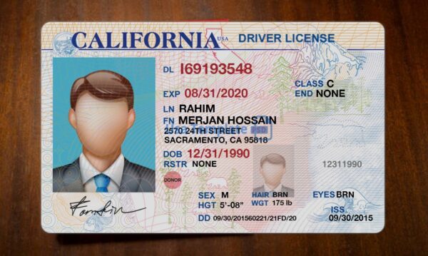 California Driving License Template PSD - Image 3