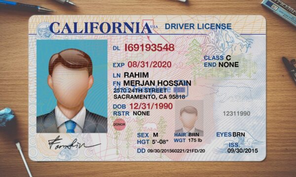 Driving License Template: How to Edit, Use, and Stay Legal - Image 4