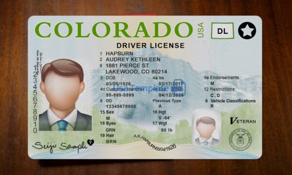 Colorado Driving License Template PSD - Image 3