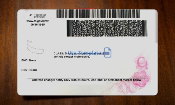 Connecticut Driving License Template PSD - Image 5