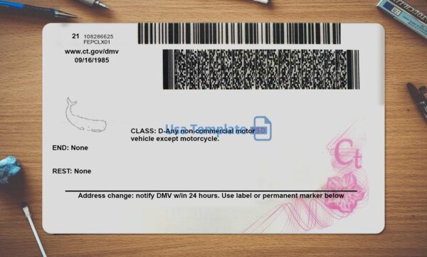 Connecticut Driving License Template PSD - Image 4