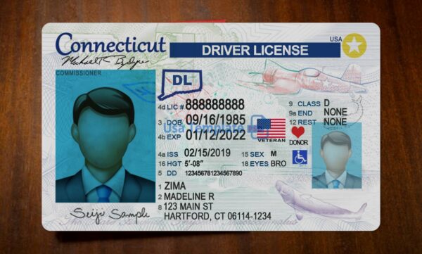 Connecticut Driving License Template PSD - Image 3