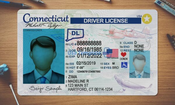 Connecticut Driving License Template PSD - Image 2