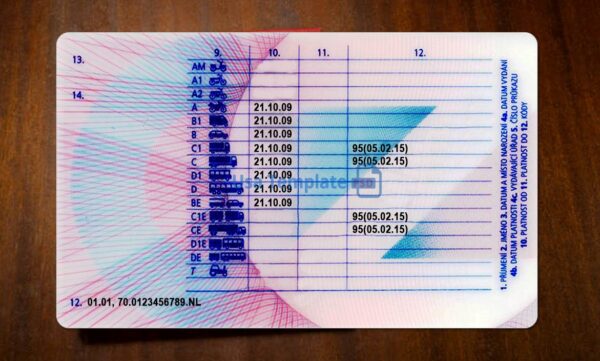 Czech Republic Driving License Template PSD - Image 5