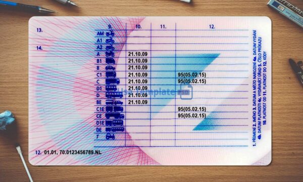 Czech Republic Driving License Template PSD - Image 4