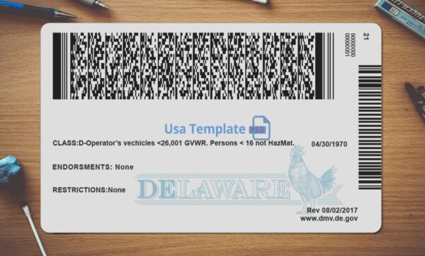 Delaware Driving License Template PSD - Image 4