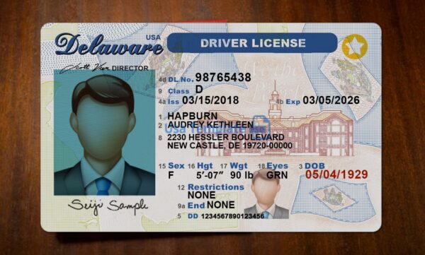 Delaware Driving License Template PSD - Image 3