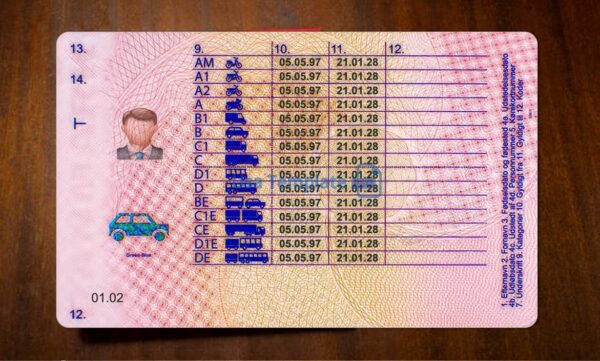 Denmark Driving License Template PSD - Image 5