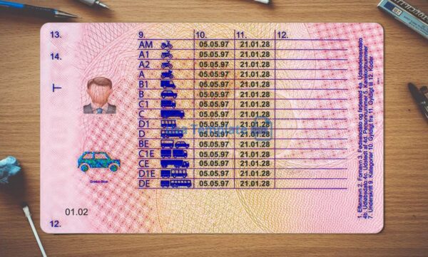 Denmark Driving License Template PSD - Image 4