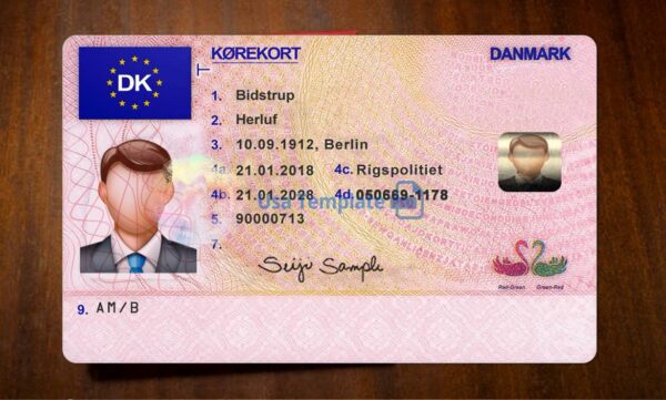 Denmark Driving License Template PSD - Image 3