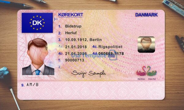 Denmark Driving License Template PSD - Image 2