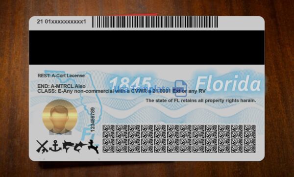 Florida Driving License Template PSD - Image 5