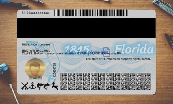 Florida Driving License Template PSD - Image 4