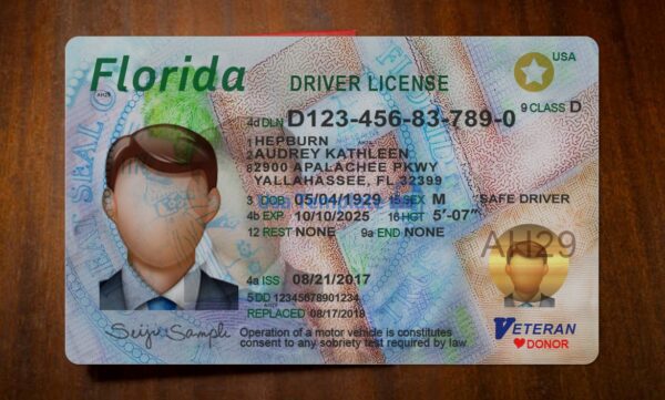 Florida Driving License Template PSD - Image 3