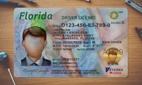 Florida Driving License Template PSD - Image 2