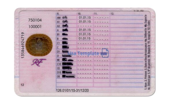 France Driving License Template PSD - Image 5