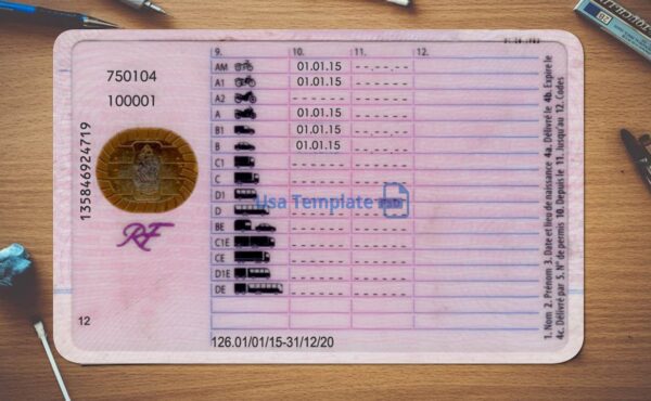 France Driving License Template PSD - Image 4