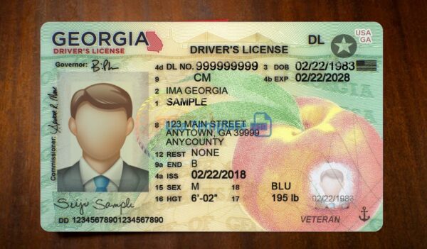 Georgia Driving License Template PSD - Image 3