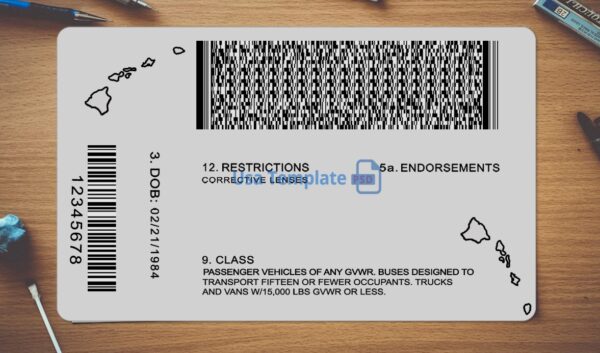Hawaii Driving License Template PSD - Image 4