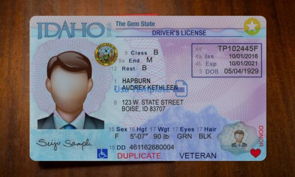 Idaho Driving License Template PSD - Image 3