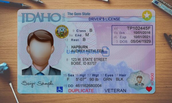 Idaho Driving License Template PSD - Image 2