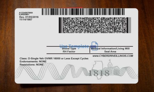 Illinois Driving License Template PSD - Image 5