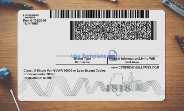 Illinois Driving License Template PSD - Image 4