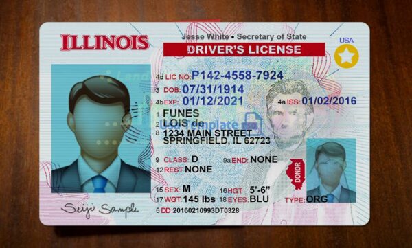 Illinois Driving License Template PSD - Image 3