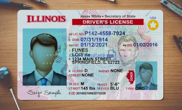 Illinois Driving License Template PSD - Image 2