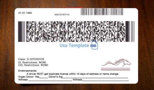 Kentucky Driving License Template PSD - Image 5