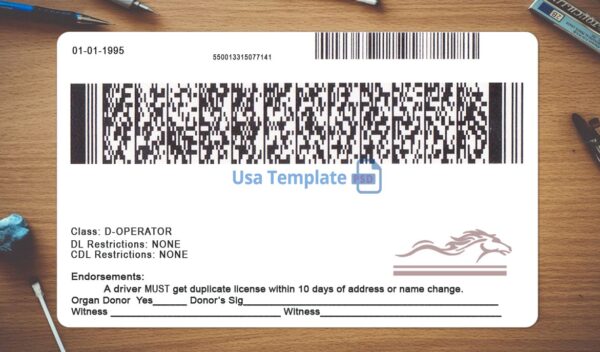 Kentucky Driving License Template PSD - Image 4