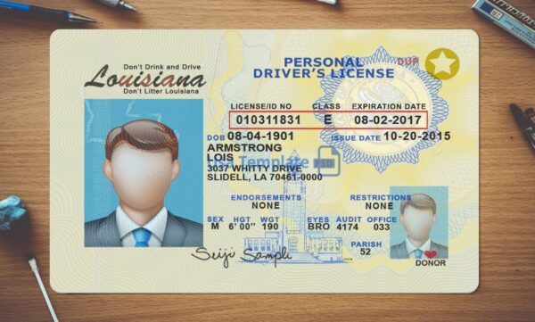 Louisiana Driving License Template PSD - Image 2