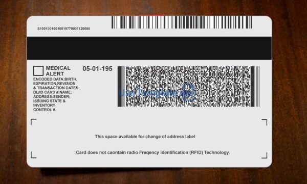 Michigan Driving License Template PSD - Image 5