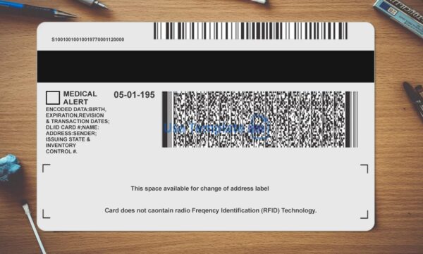 Michigan Driving License Template PSD - Image 4