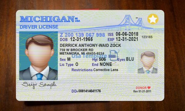 Michigan Driving License Template PSD - Image 3