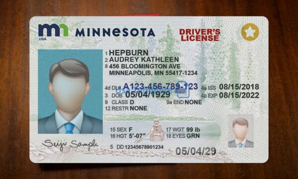 Minnesota Driving License Template PSD - Image 3