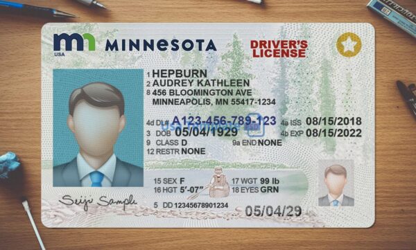 Minnesota Driving License Template PSD - Image 2