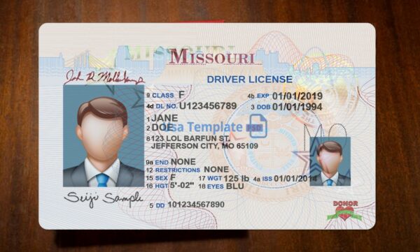 Missouri Driving License Template PSD - Image 3