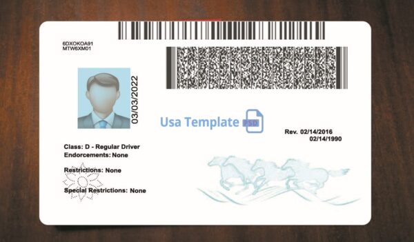 Montana Driving License Template PSD - Image 5