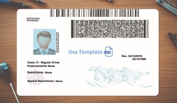 Montana Driving License Template PSD - Image 4