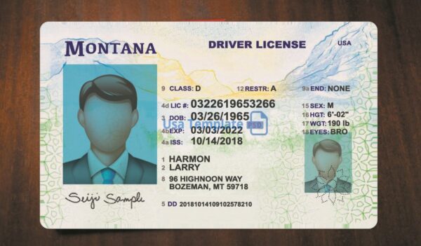 Montana Driving License Template PSD - Image 3