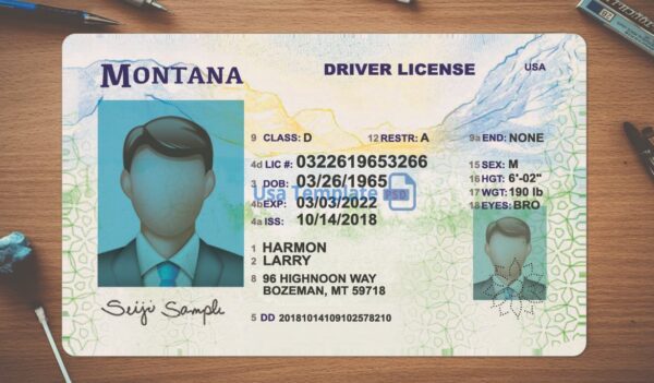 Montana Driving License Template PSD - Image 2