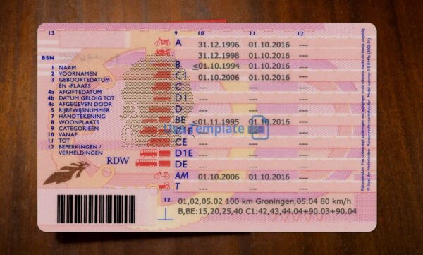 Netherlands Driving License Template PSD - Image 6