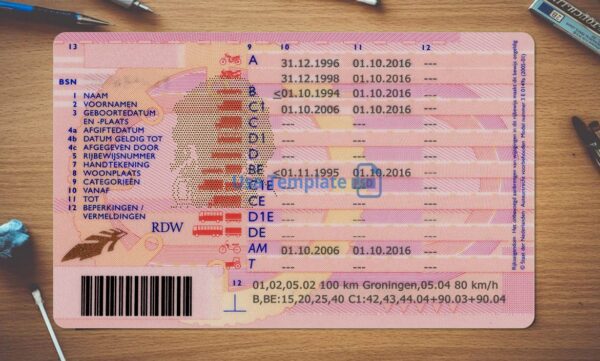 Netherlands Driving License Template PSD - Image 5