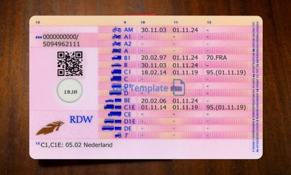 Netherlands Driving License Template PSD - Image 4